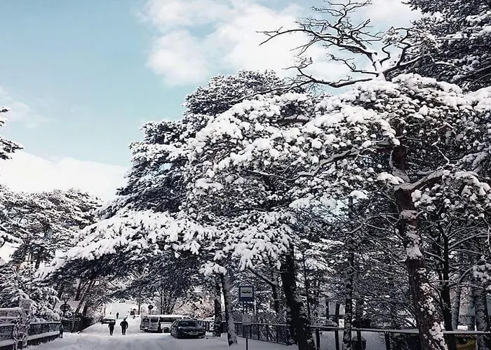 Plac Rybakow 3* Sopot